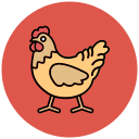 gallina icon