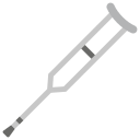 Walking stick 