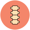 Columna vertebral icon