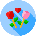 rosa icon