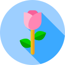 rosa icon