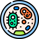 bacterias icon