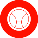 volante icon