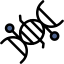 estructura del adn