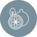 limón icon