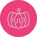 calabaza icon