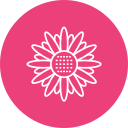 girasol icon