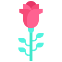 rosa icon