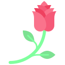 rosa icon