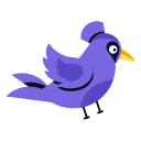 Cardinal Bird 