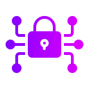 la seguridad cibernética icon