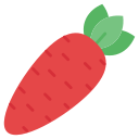 Carrot icon