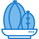 cactus icon