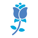 rosa icon