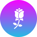 rosa icon