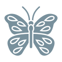 mariposa