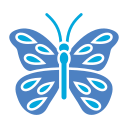 mariposa icon