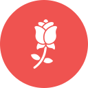 rosa icon