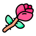 rosa icon