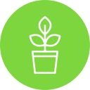 planta icon