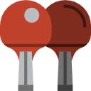 ping pong icon