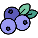 blueberry Icon - Download for free – Iconduck