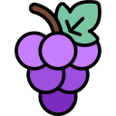 uvas icon