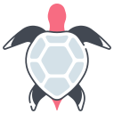 tortuga icon