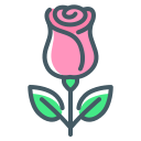 rosa icon