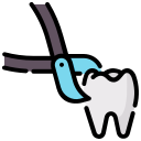 extracción dental icon