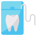 hilo dental