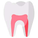 anatomy icon