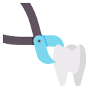 extracción dental icon