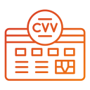 cvv icon