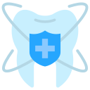 seguro dental icon