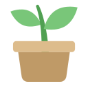 planta icon