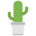 cactus icon