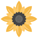 girasol icon