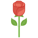 rosa icon