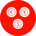 divisa icon