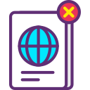 pasaporte icon