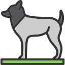 perro icon