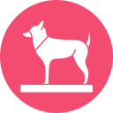 perro icon