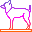 perro icon