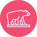 oso icon