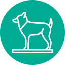 perro icon