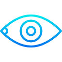 ojo icon