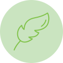federkiel 