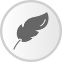 federkiel 
