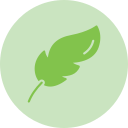 federkiel 